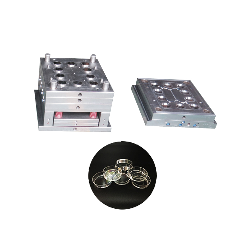 10 Cavities Professional Plastic Petri dish Mould