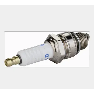 Spark Plug