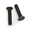 carriage bolts