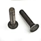 black carriage bolts