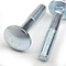 carriage bolt