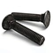 black carriage bolts