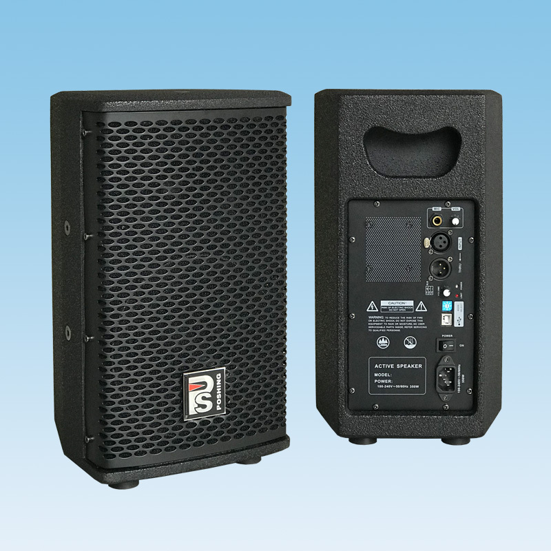 D-6P Active Two channel full-frequency speaker