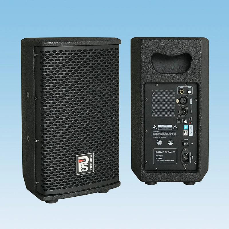 D-6P Active Two channel full-frequency speaker