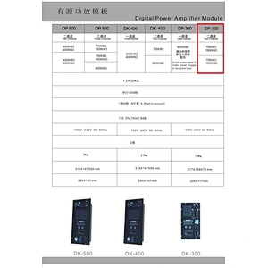 DP-300(48K) DSP Amplifier Module