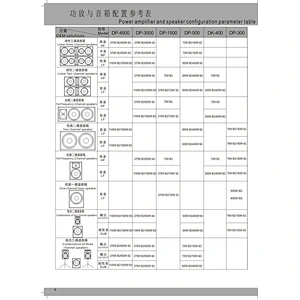 DP-500(48K) DSP Amplifier Module