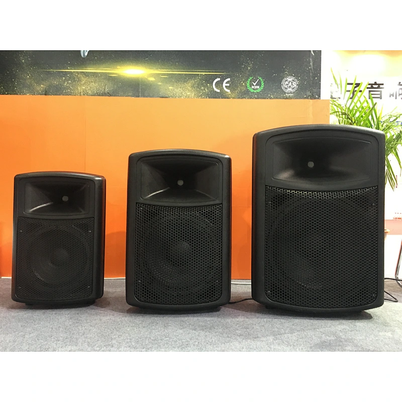 DSP-P12 Active Two channel full-frequency plastic speaker