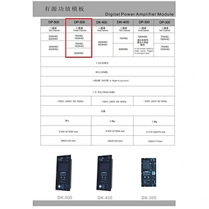 DP-500(48K) DSP Amplifier Module