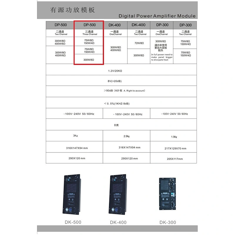 DP-500(48K) DSP Amplifier Module