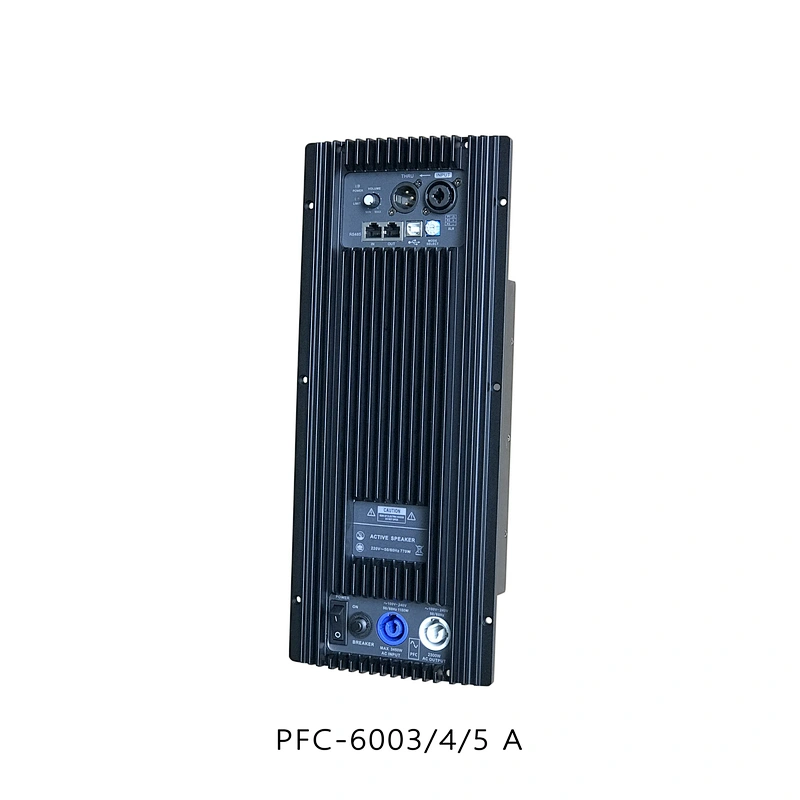 D-15P Active Two channel full-frequency speaker