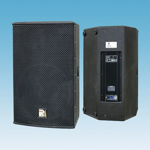 D-15P Active Two channel full-frequency speaker