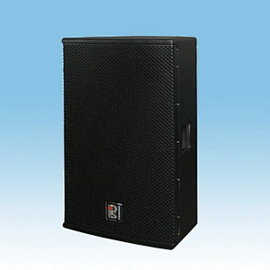 D-10P Active Two channel full-frequency speaker