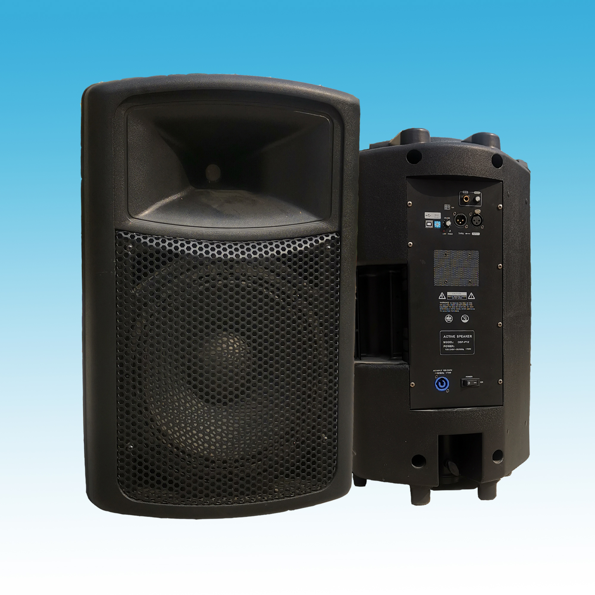 DSP-P12 Active Two channel full-frequency plastic speaker