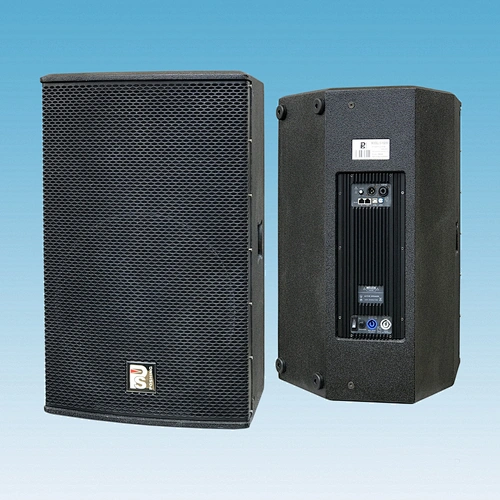 D-12P Active Two channel full-frequency speaker