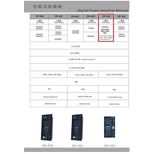 DP-300(48K) DSP Amplifier Module