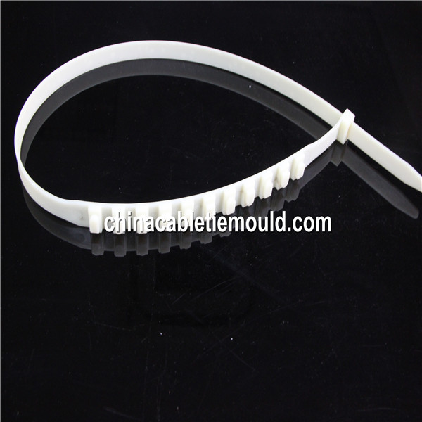Auto car Tire tie injection mould supplier