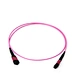 MPO OM4 50/125 Multimode Fiber Optic Trunk Cable LSZH Fiber Optic Patch Cord/ Jumper