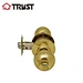 polished brass bathroom faucet