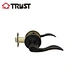 tubular lever lock handle