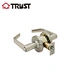 satin door handle lever