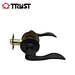 tubular lever handle lock