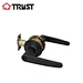 lever style door handle