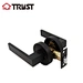 tubular lever lock handle