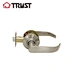 Cylindrical Lever Lock