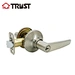 brushed nickel door levers