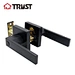 tubular lever handle lock