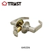 ANSI Door Lock