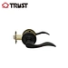 tubular lever door lock