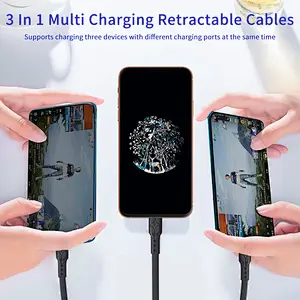 ROHS, CE 3 в 1 портативный выдвижной зарядный кабель USB C