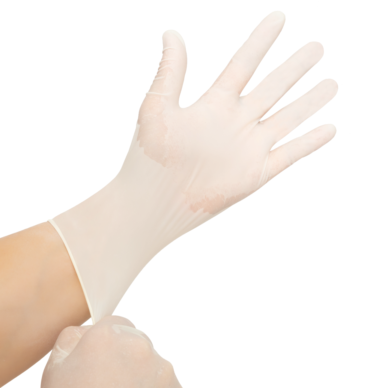 Latex Surgical Gloves