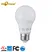 colorful bulb