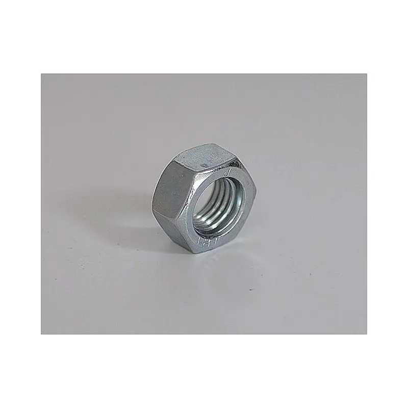 HEX NUTS