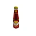 tomato paste tomato ketchup