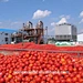 Pâte de tomate de qualité supérieure