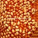 Haricots cuits en conserve dans une sauce tomate sucrée.