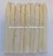 Canned White Asparagus