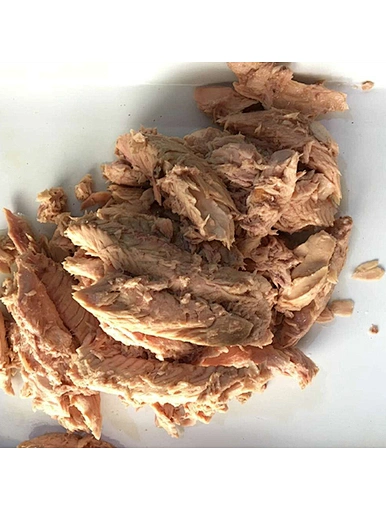 frozen tuna canned tuna