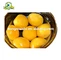 canned yellow peach slice