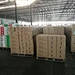 tomato factory