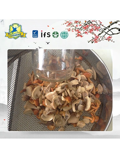 Healthy and Natural Fungus