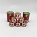 Vente en gros boîte de pâte de tomate de marque ketchup sauce tomate facile ouvrir