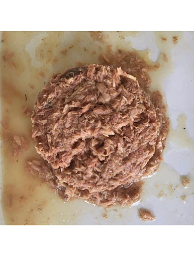 Thunnini Tinned