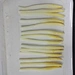 canned white asparagus spears