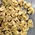 mushroom straw mushroom