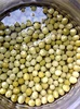 canned green peas