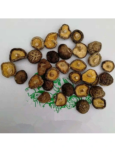 mushroom shiitake